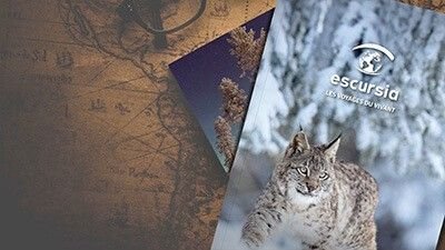 decouvrir links brochures image