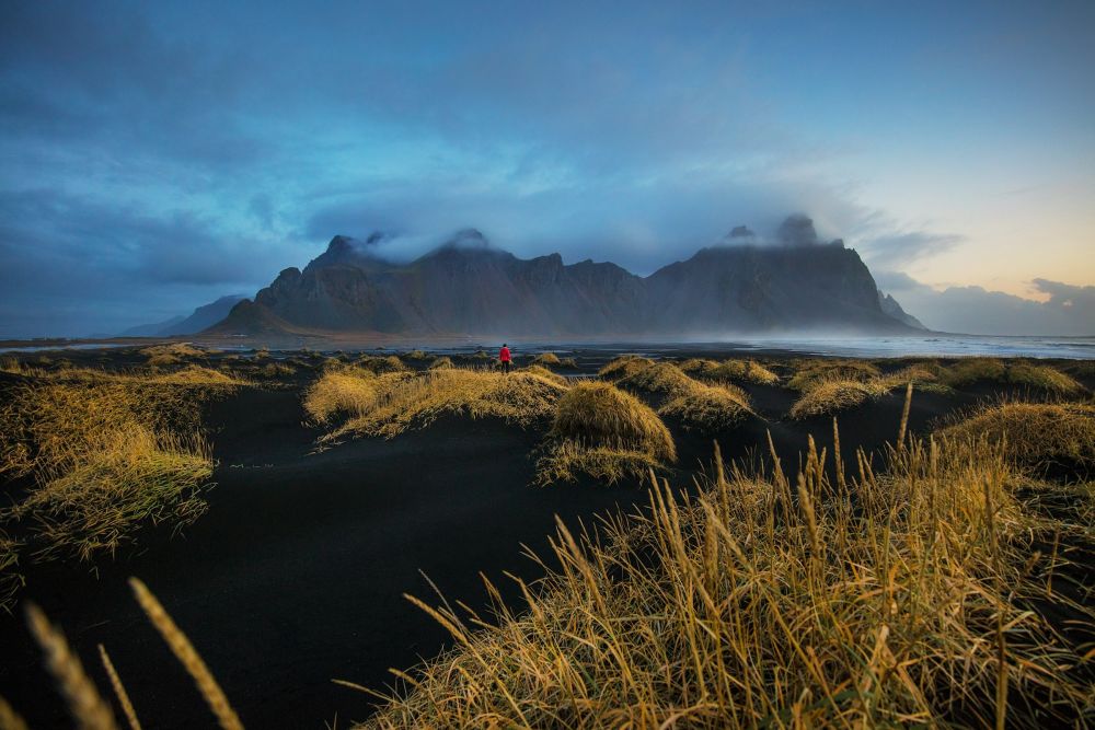 Croisière ornithologique, photographique et naturaliste aux Galapagos