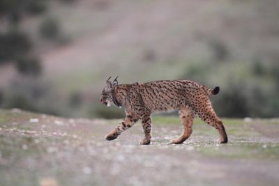 Photo voyage Espagne 2