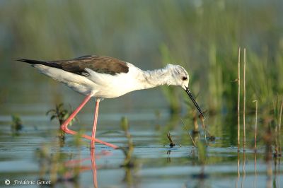 Photo voyage France 1