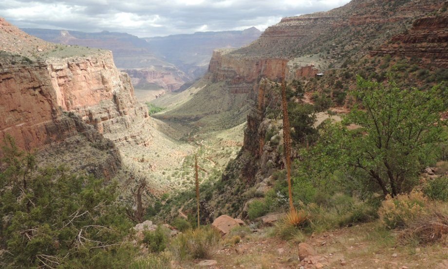 Grand canyon