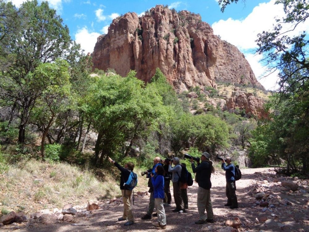 Cave creek portal