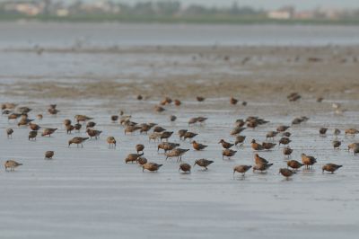 Photo voyage France 2