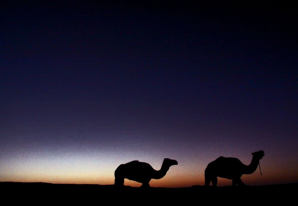 Voyage d'initiation à l'astronomie au Maroc