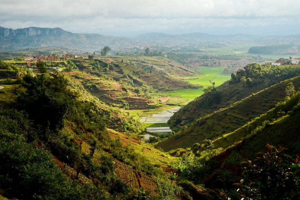Rizières dans les hautes terres centrales de Madagascar pour une journée de tourisme communautaire.