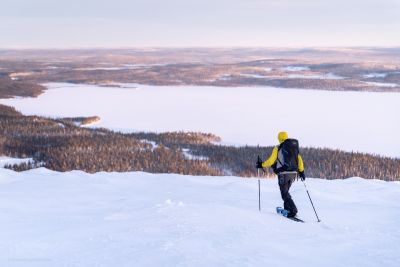 Au dessus de la forêt boréale, Laponie