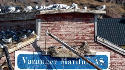 Photo voyage Norvège 2