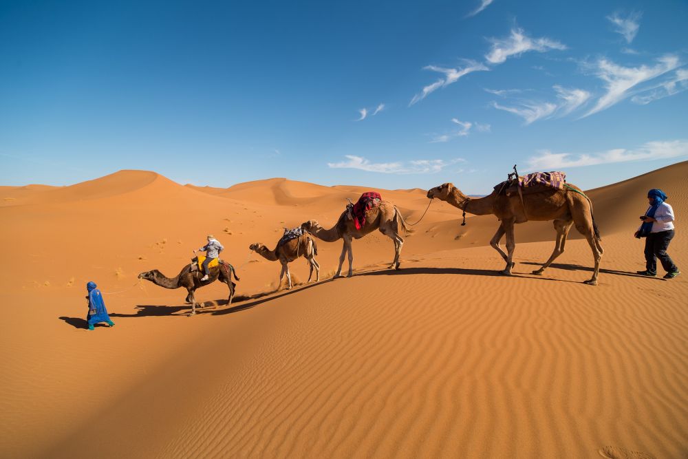 Caravanne de dromadaire dans les dunes