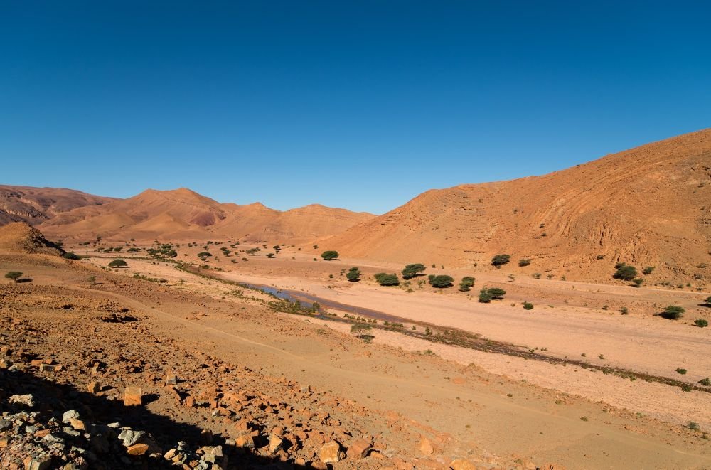 Voyage d'initiation à l'astronomie au Maroc