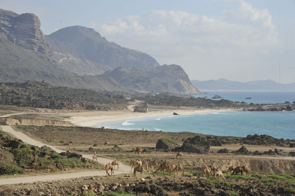Fizayah Dhofar