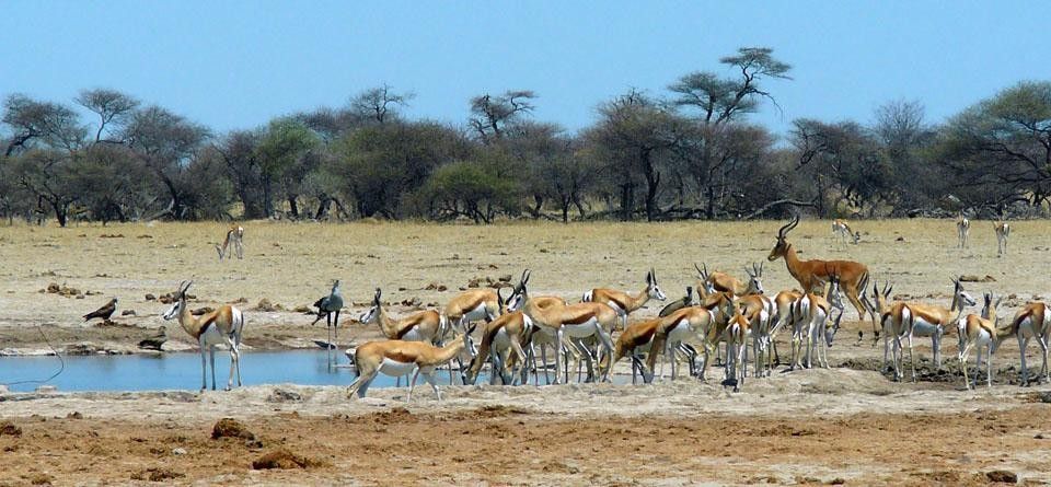 Photo voyage Namibie 18