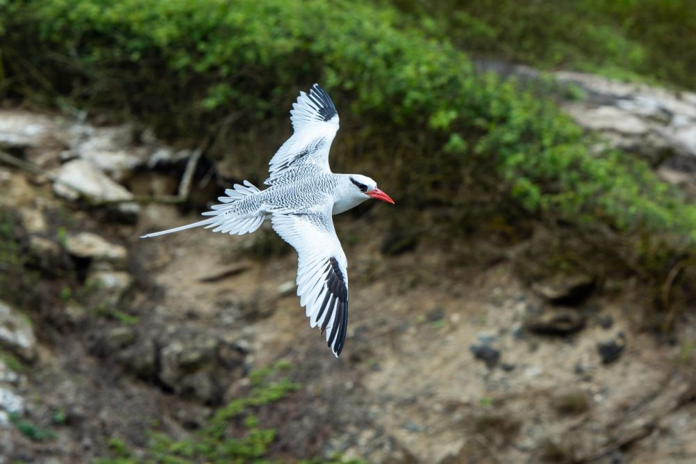Photo voyage Equateur 8