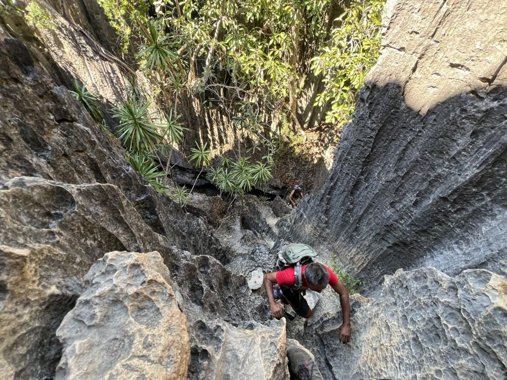 Parc national des Tsingy. Randonnée dans le circuit "grand Tsingy".