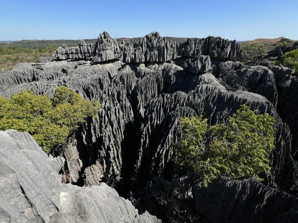 Parc national des Tsingy. Randonnée dans le circuit "grand Tsingy".
