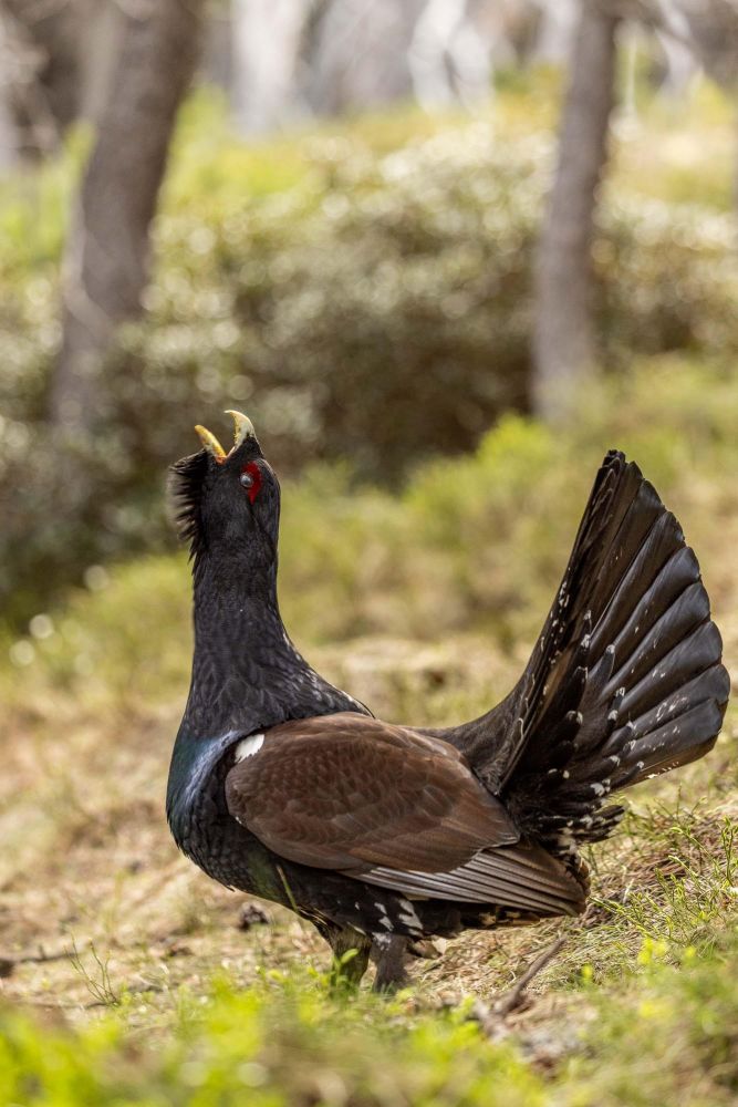 Photo voyage Espagne 1