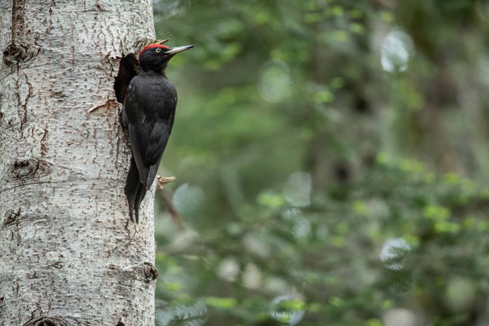 Photo voyage Espagne 4