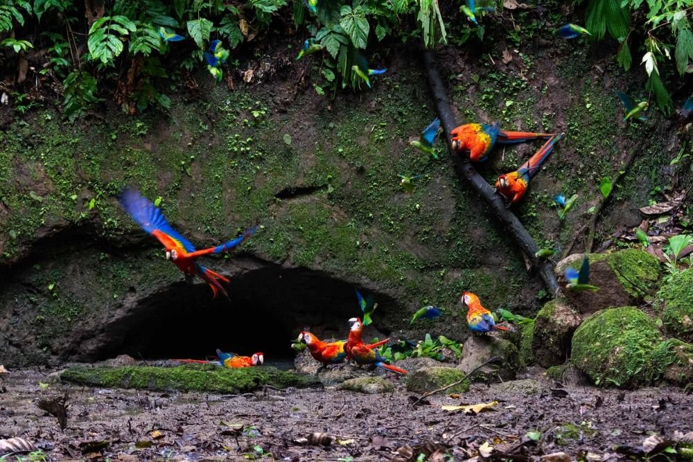 Photo voyage Équateur 2