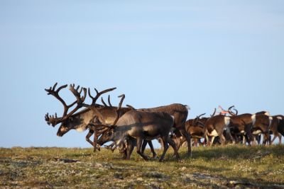 Photo voyage Norvège 1