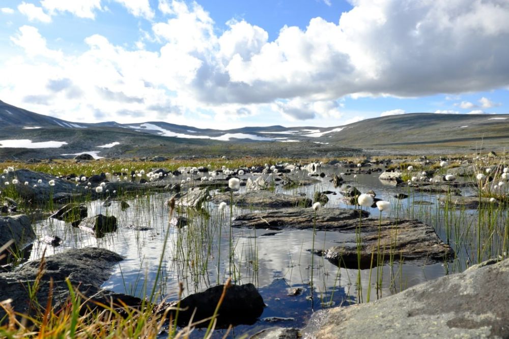 Photo voyage Norvège 2