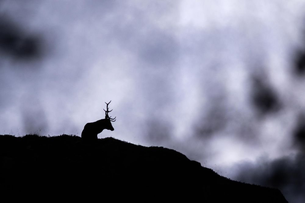 Photo voyage Italie 1