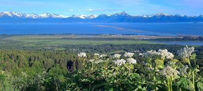 Photo voyage Alaska 2