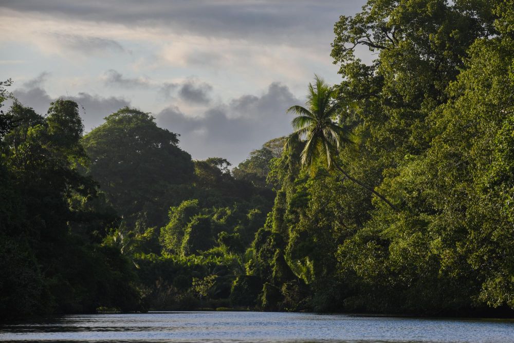Photo voyage Costa Rica 20