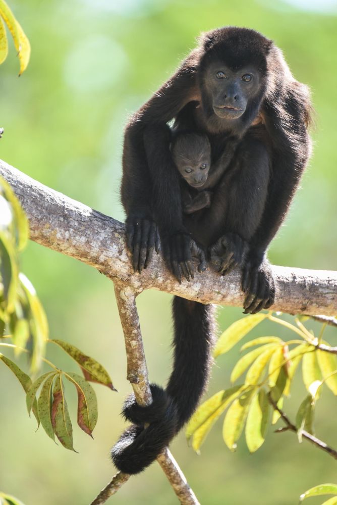 Photo voyage Costa Rica 5