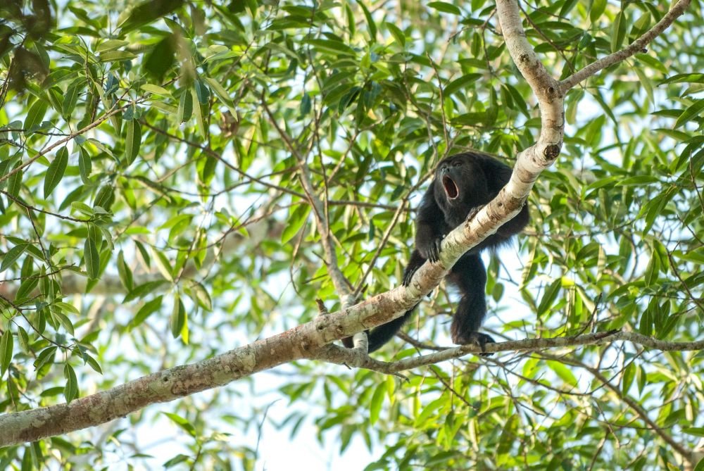 Photo voyage Costa Rica 11