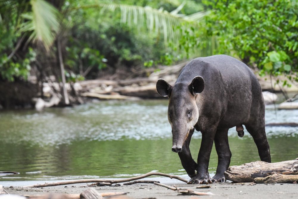 Photo voyage Costa rica 2