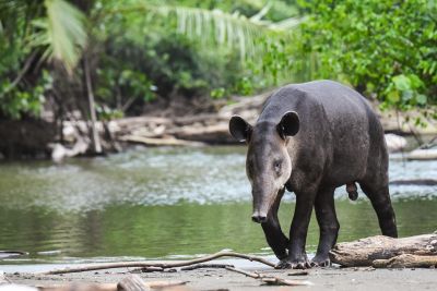 Photo voyage Costa rica 2