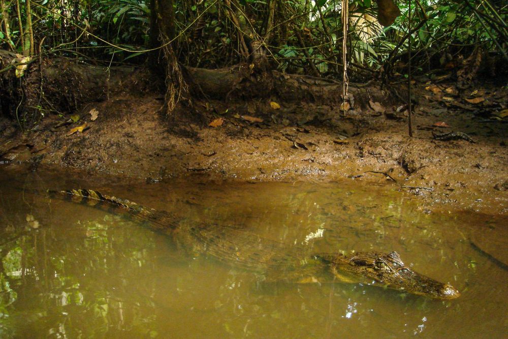 Photo voyage Costa Rica 13