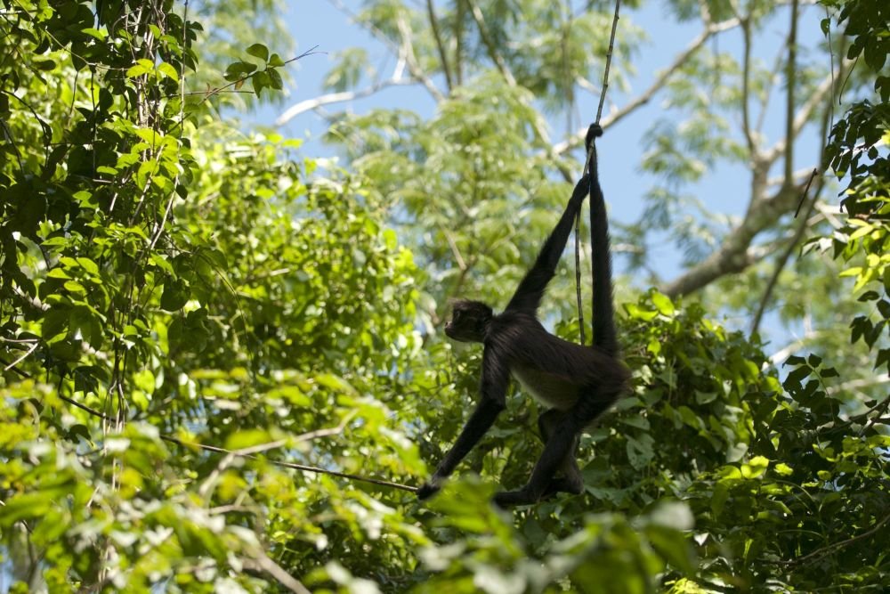 Photo voyage Costa Rica 19