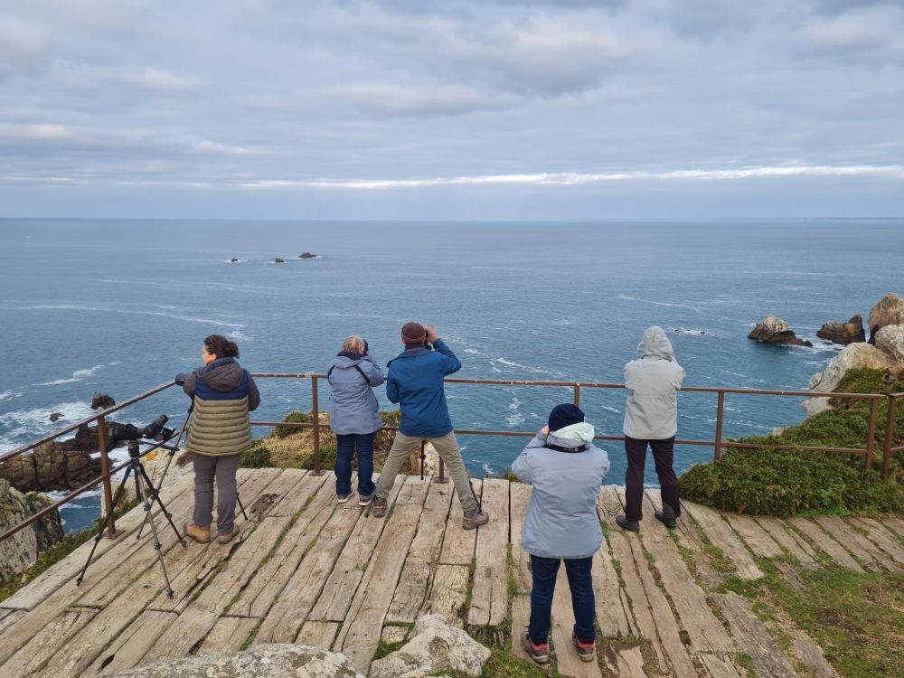 Observations depuis la pointe de Goulien