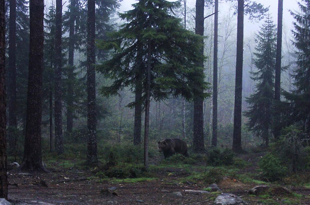 Photo voyage Slovaquie 2