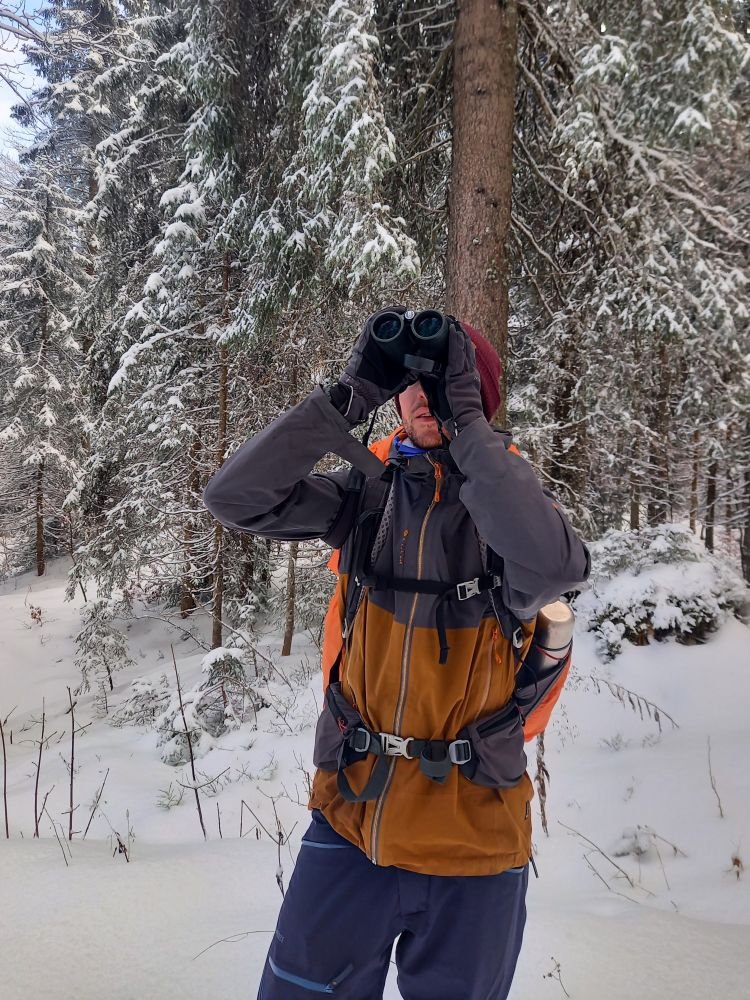 Observation en forêt - Jura