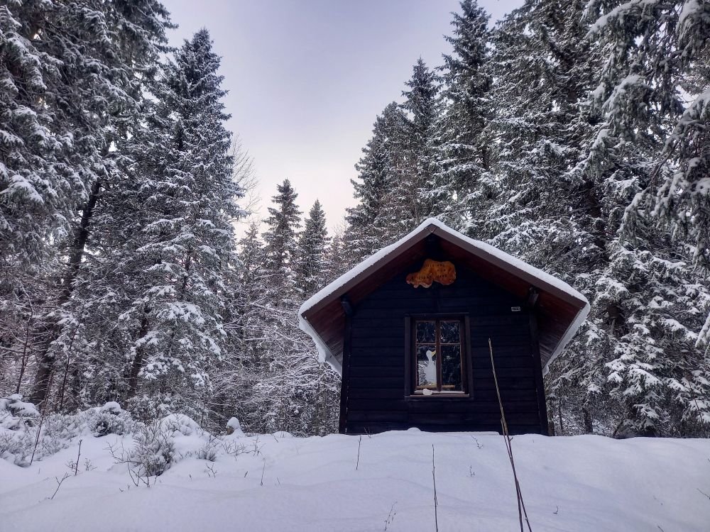 Cabane enneigée - Jura