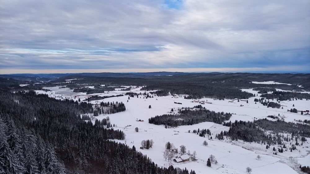 Forêt enneigée - Jura