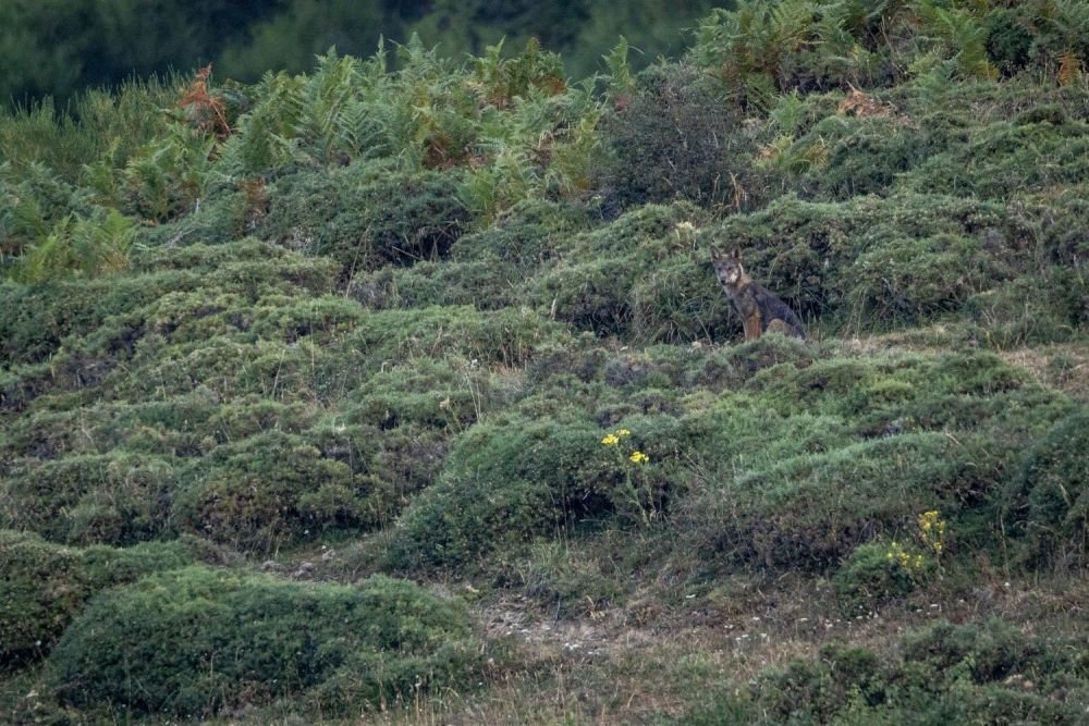 Photo voyage Espagne 4