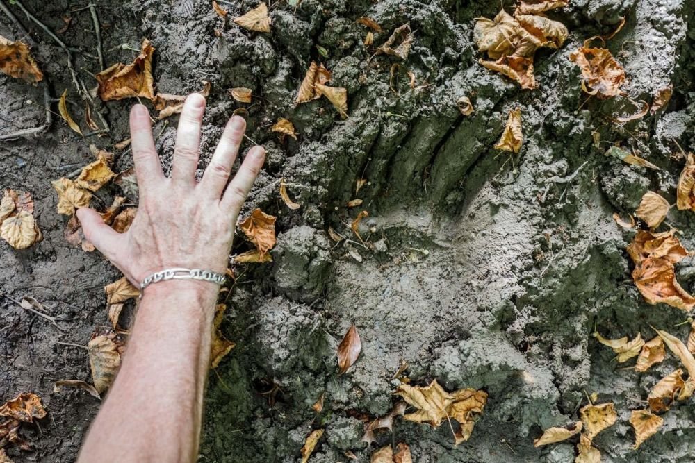 Photo voyage Espagne 8