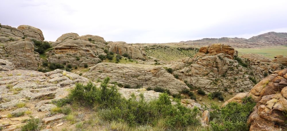 Habitat à Chat de Pallas