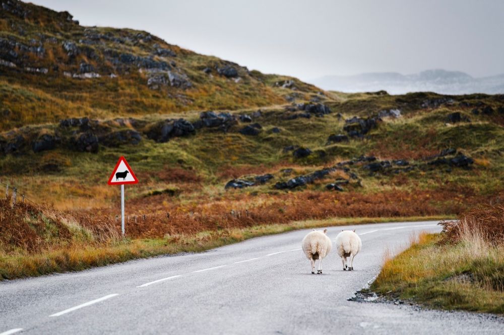 Photo voyage Écosse 8