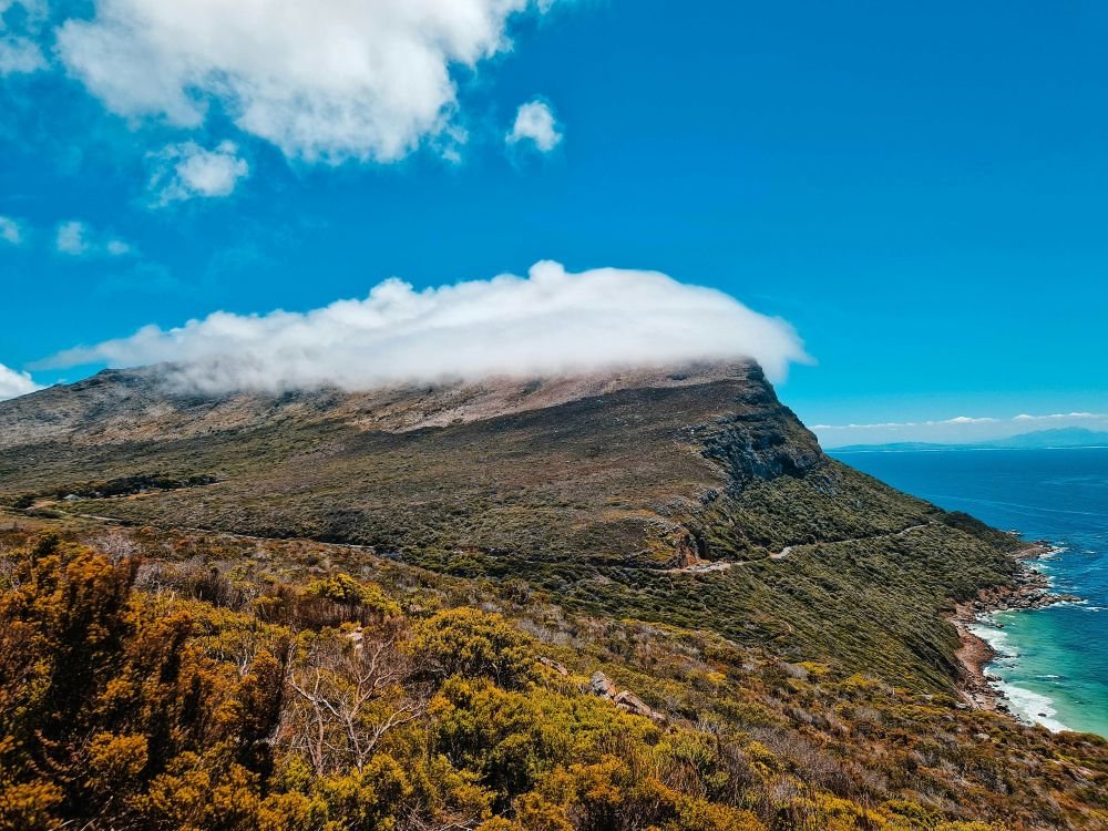 Photo voyage Afrique du sud 8