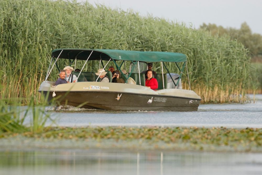 Prospection sur le Danube