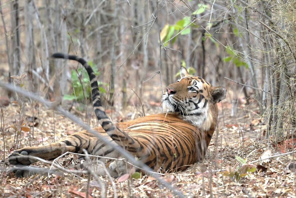 Photo voyage Inde 10