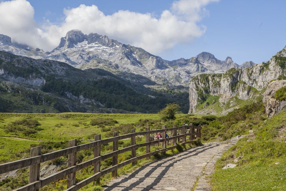Picos de Europa