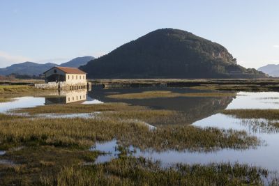 Marisma de Escalante