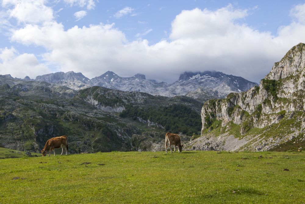 Mirador Entrelagos_Lagos de Covadonga