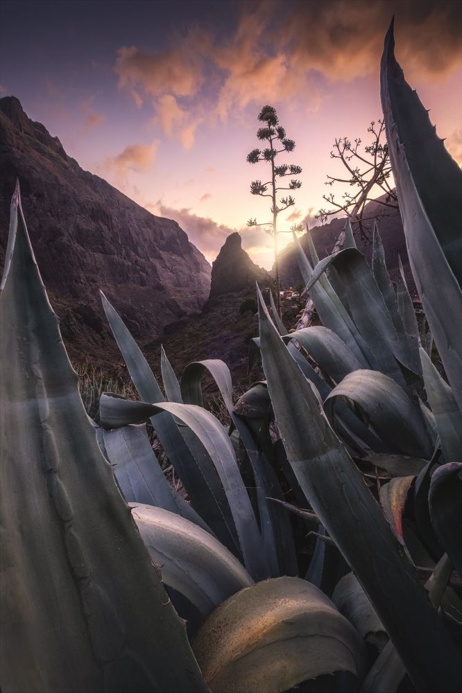 Photo voyage Espagne 15