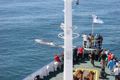 Observation à bord du Plancius