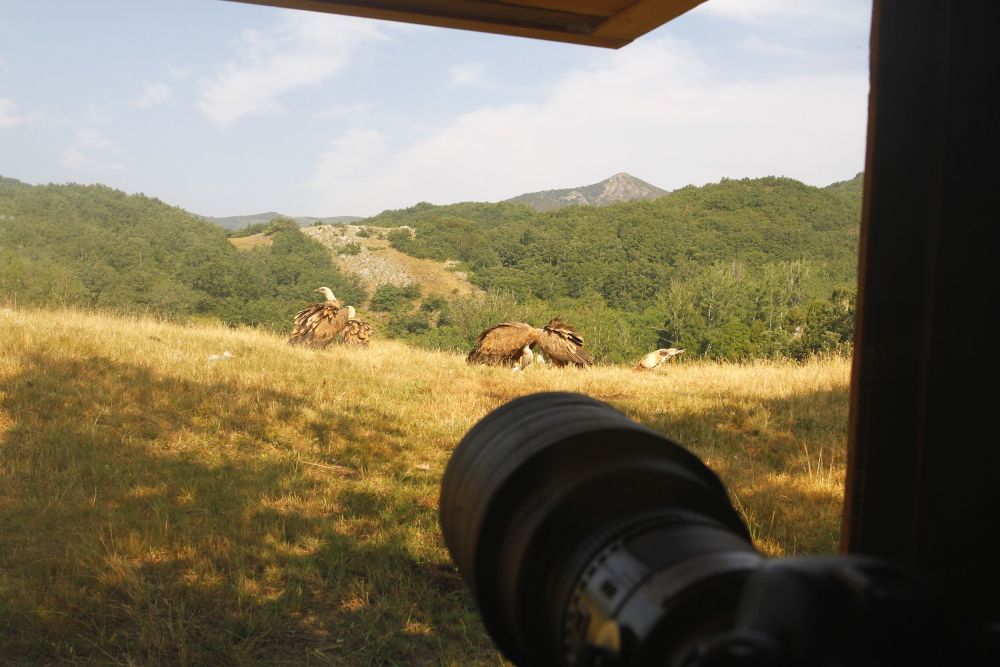 Photo voyage Espagne 5